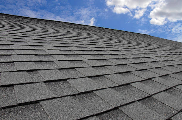 Roof Coating Services in Pine Manor, FL