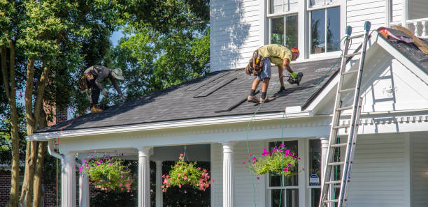 Trusted Pine Manor, FL Roofing Service Experts